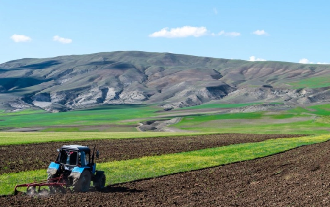 Kənd təsərrüfatı torpaqlarında müvəqqəti tikililər barədə məlumatlandırma qaydaları təsdiqlənib