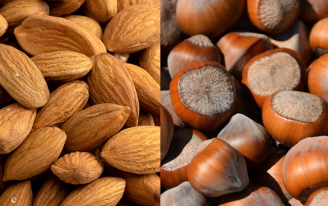 Azərbaycan Çinə fındıq və badam ixracını artıracaq