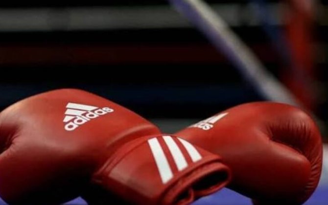 Azərbaycan millisi Avropa çempionatına 20 boksçu ilə qatılacaq