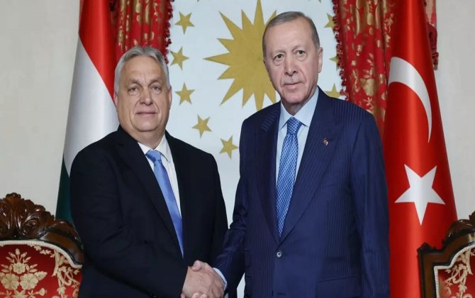 Ərdoğan və Orban İstanbulda görüşüb