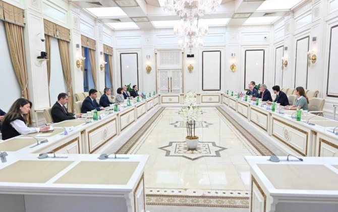 Milli Məclis sədri Britaniyanın Azərbaycan üzrə ticarət elçisi ilə görüşüb