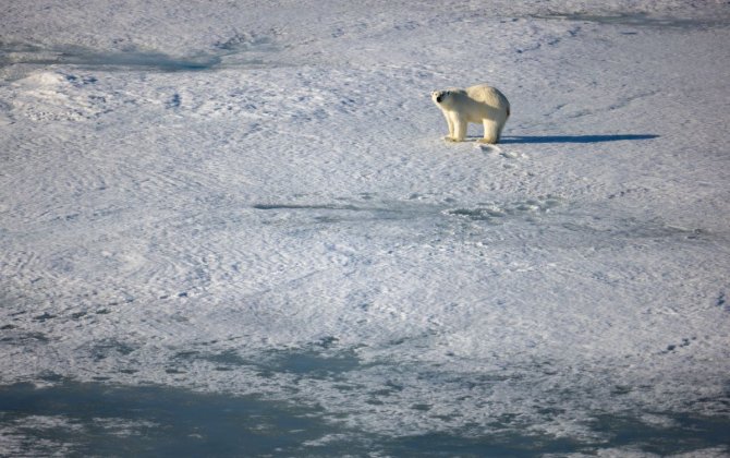 НАТО усиливает разведку вблизи границ России в Арктике