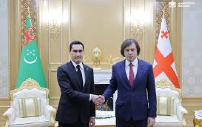 Кобахидзе и Бердымухамедов договорились активизировать сотрудничество в транзитной сфере