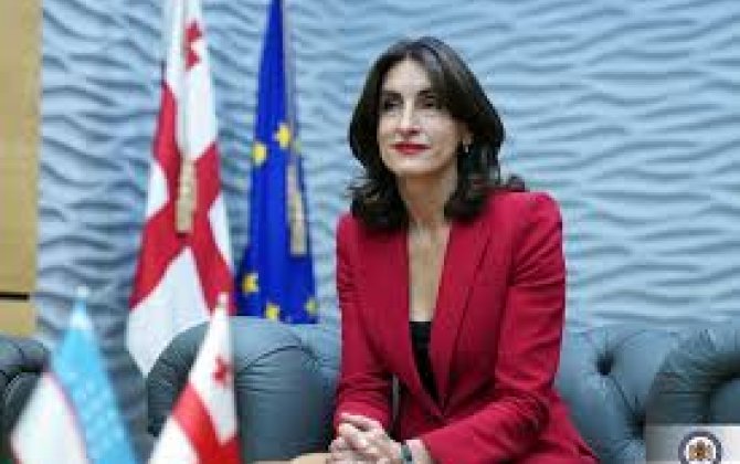 Глава МИД Грузии: Азербайджан является важным партнером для нас