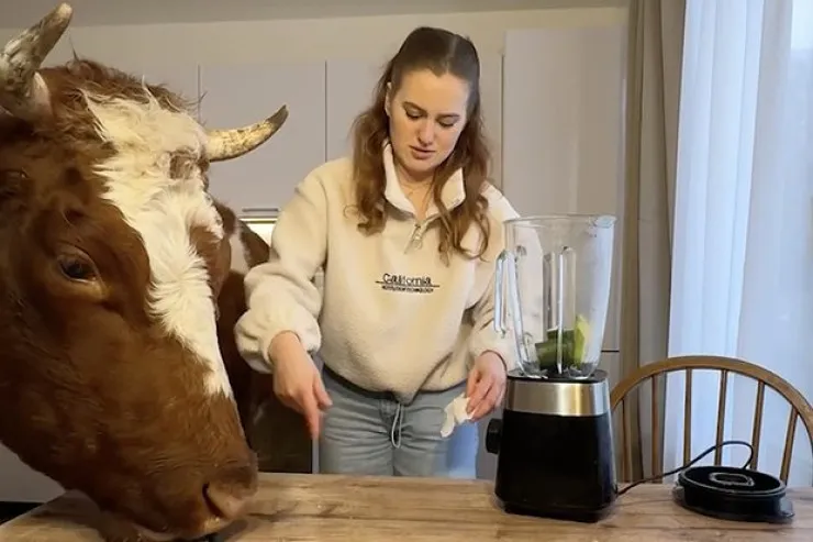 Bu qız inəyi evində saxlayır