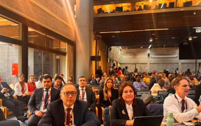 Azərbaycan BMT-nin Ətraf Mühit Assambleyasının 7-ci sessiyasında Milli Bəyanatını təqdim etdi