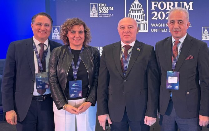 AMİP-in təqdim etdiyi Qarabağ qətnaməsi Vaşinqtonda qəbul edildi - FOTOLAR