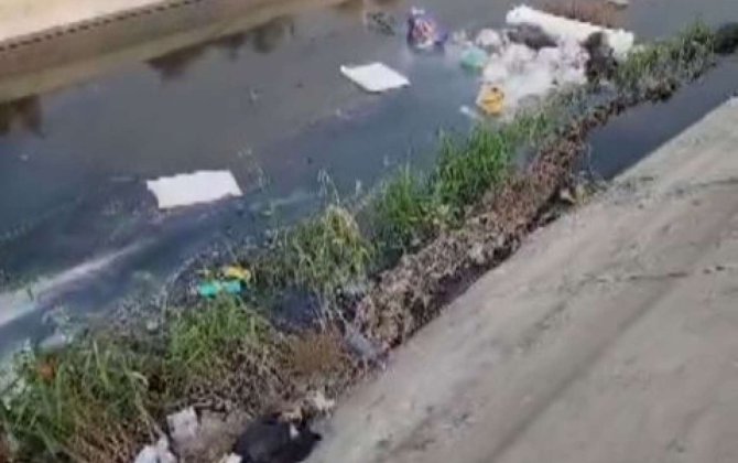 Saray bağlarında antisanitar vəziyyət – Samur-Abşeron kanalını üfunət bürüyüb – VİDEO