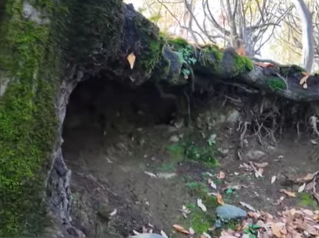 Lənkəranda Babəkin müdafiə qalası: Bəlləbur kəndindən GÖRÜNTÜLƏR - VİDEO