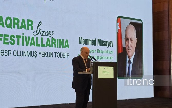 Аграрный сектор охватывает 35% занятых в Азербайджане - Мамед Мусаев