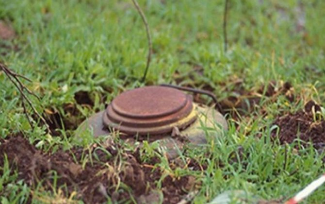 Польша впервые со времен холодной войны начинает производство противопехотных мин