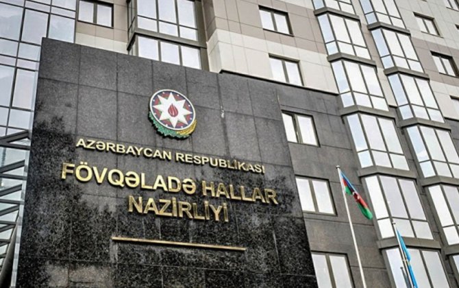 Nazirlik Yeni il bayramı ilə əlaqədar əhaliyə müraciət etdi - VİDEO