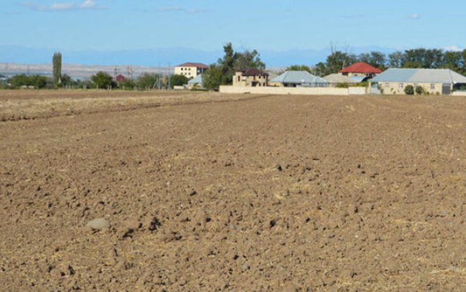 Kənd təsərrüfatı təyinatlı torpaqda tikinti ilə bağlı yeni qayda