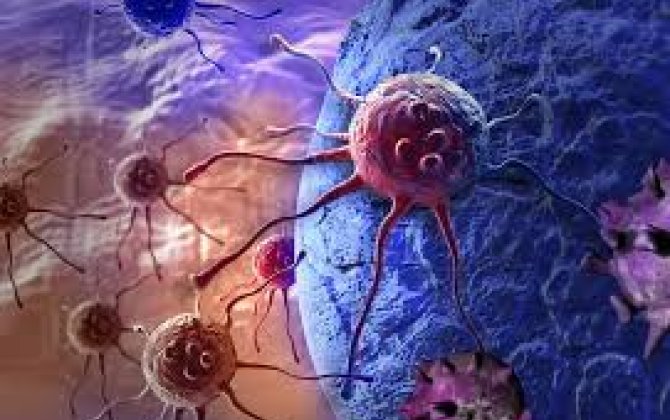 В США обвинили исследователя из КНР в контрабанде кишечной палочки