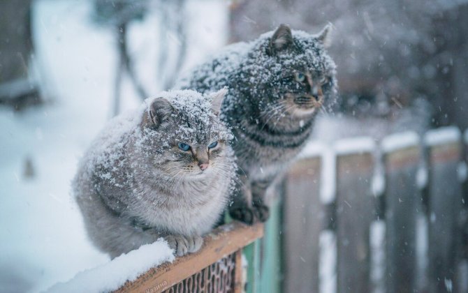 В Азербайджане наступила зима
