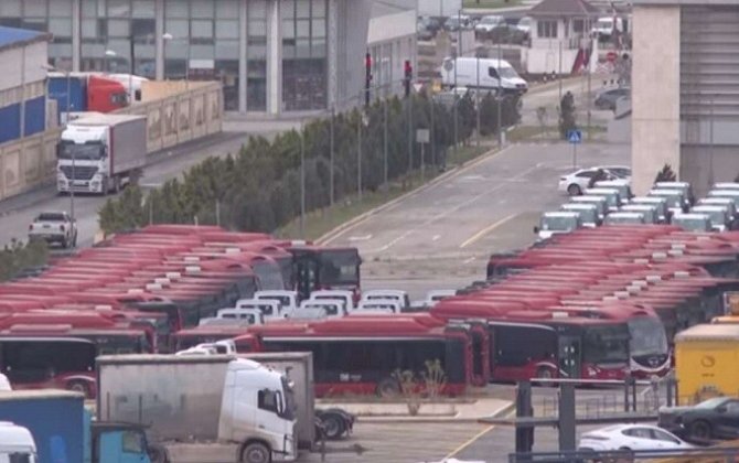 “Bakı Bus”onlarla avtobusu niyə qarajda saxlayır? - VİDEO
