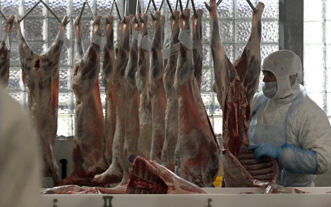 Азербайджан существенно увеличил закупку баранины