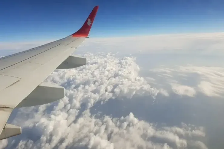 Niyə təyyarələrdə pomidor şirəsi verilmir?