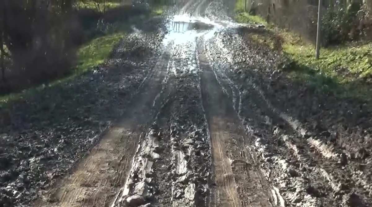 Cəlilabadda sakinləri təngə gətirən PROBLEM - VİDEO