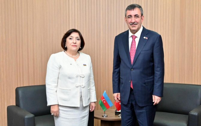 Джевдет Йылмаз и Сахиба Гафарова обсудили межпарламентское сотрудничество