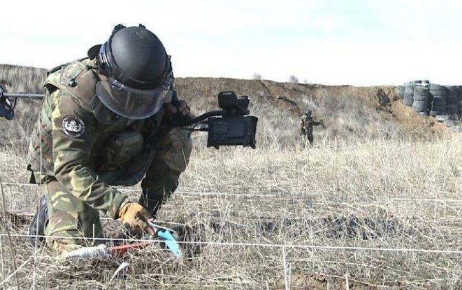 В Азербайджане меняются правила проведения работ по разминированию в Шуше