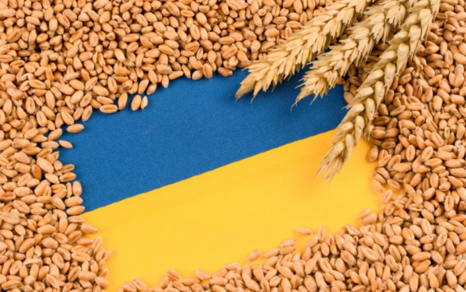 Moldova Ukraynadan taxıl idxalına qoyulan məhdudiyyəti aradan qaldıracaq