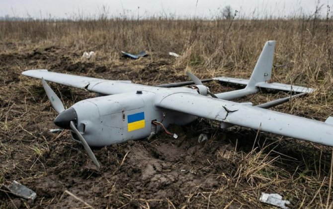 Estoniya ərazisinə avqustda düşən PUA-nın Ukraynaya məxsus olduğunu təsdiqləyib