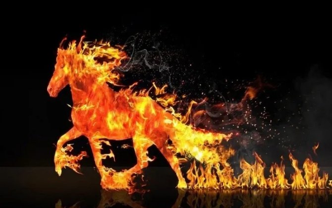 2026-cı ilin himayədar heyvanı: Hər BÜRCÜ nə gözləyir?