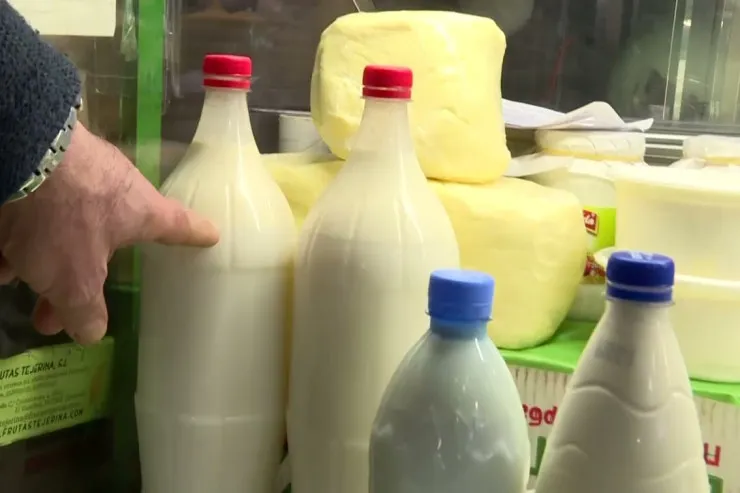 Aldığınız kənd südü nə qədər sağlıqlıdır? - VİDEO