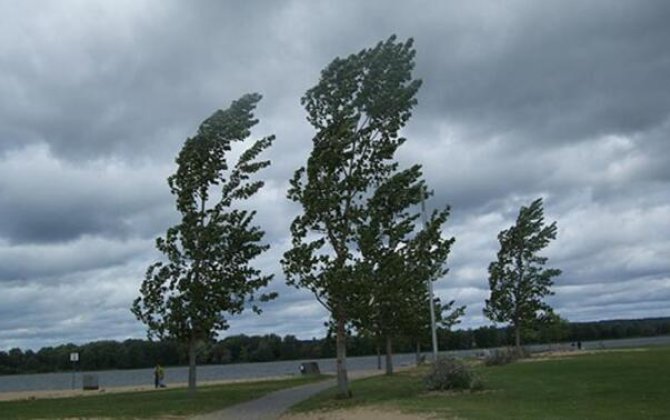 Küləkli hava şəraiti ilə bağlı xəbərdarlıq edildi