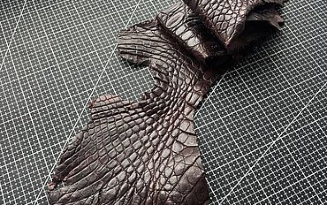 В аэропорту Шереметьево у пассажира из КНР обнаружили более 50 шкур крокодилов