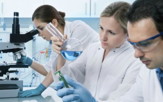 Azərbaycanda elmi tədqiqatla məşğul olan qadınların sayı xeyli artıb