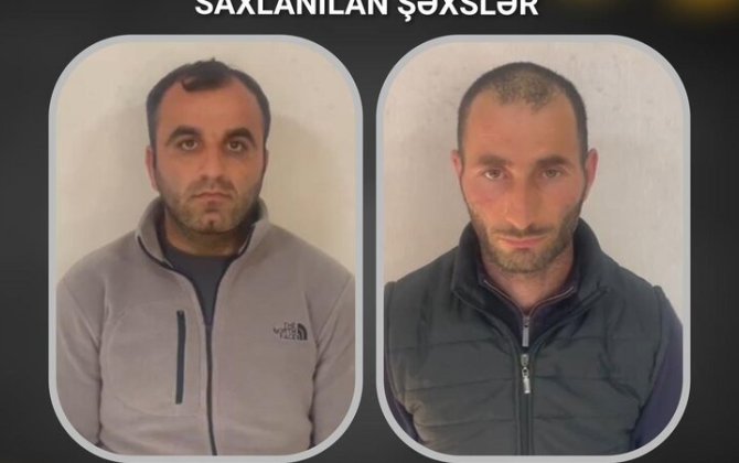 Ağsuda mal-qara oğruları saxlanıldı - FOTO