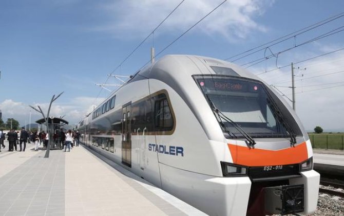 Sahibsiz heyvanlar səbəbindən dəmir yollarında 54 hadisə baş verib - FOTO