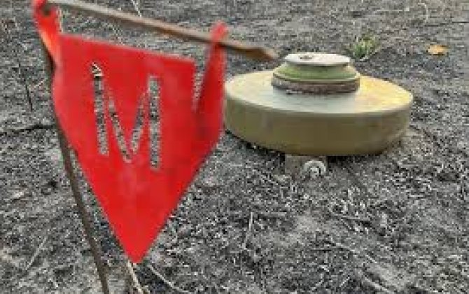 Литва вышла из Оттавской конвенции о запрете противопехотных мин