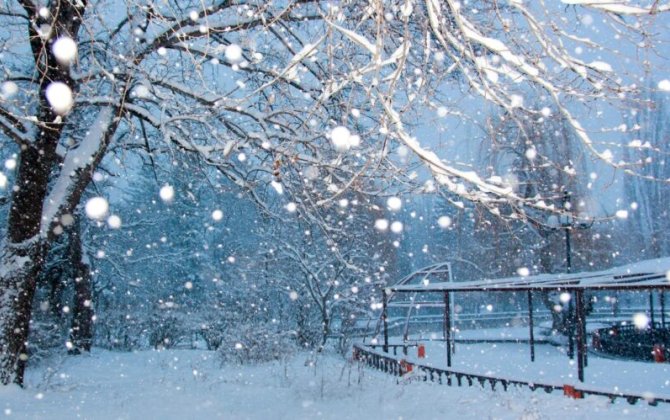 Gədəbəyin bu kəndində şiddətli qar yağır - VİDEO 