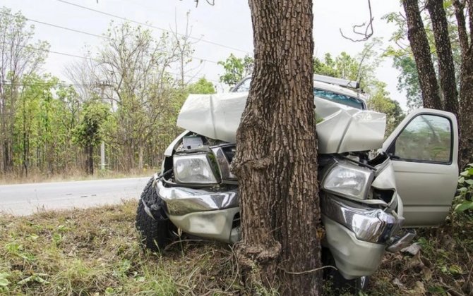 Qaxda avtomobil ağaca çırpıldı - Sürücü öldü