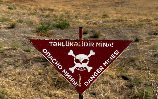 В Азербайджане создается правовая основа для использования животных при разминировании