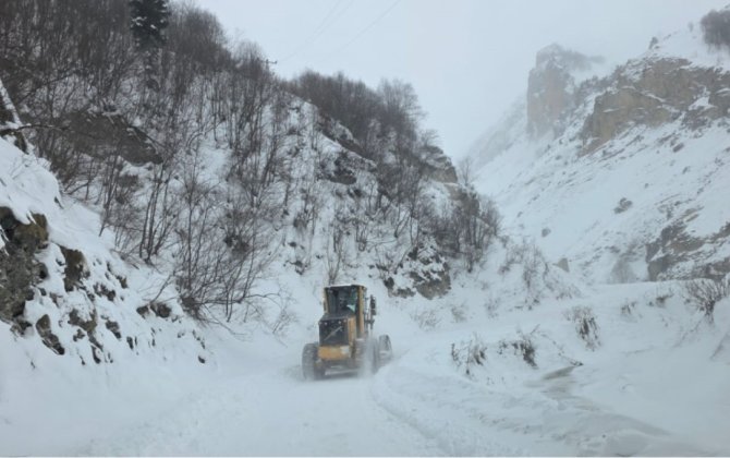 Türkiyədə 3 çoban qar uçqununa düşdü