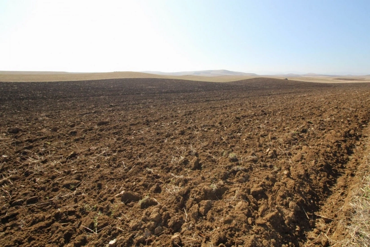 Dövlət Xidməti torpaq hərracları keçirəcək