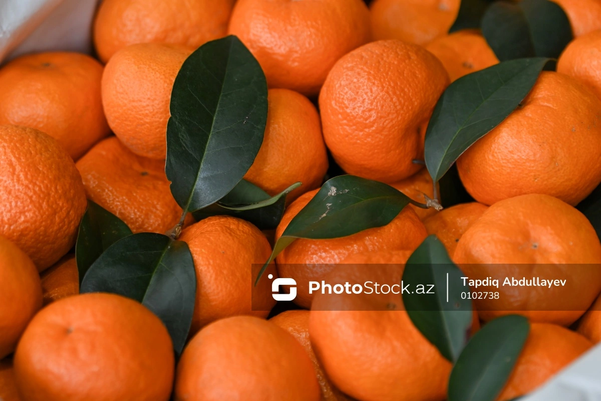 Врач назвала рекомендуемую порцию мандаринов в день