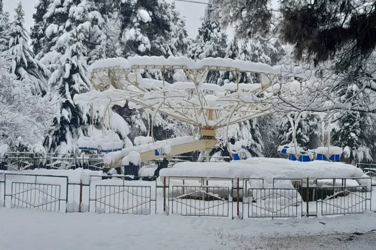 Zaqatala ağ örpəyə büründü - FOTOLAR