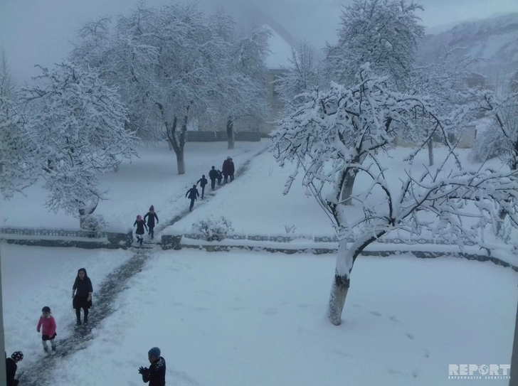 В Гахе выпало 25 см снега