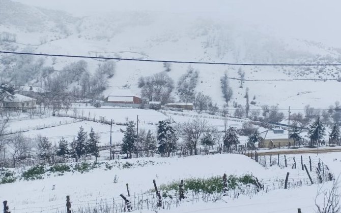 Cəlilabadın dağlıq kəndlərinə qar yağıb