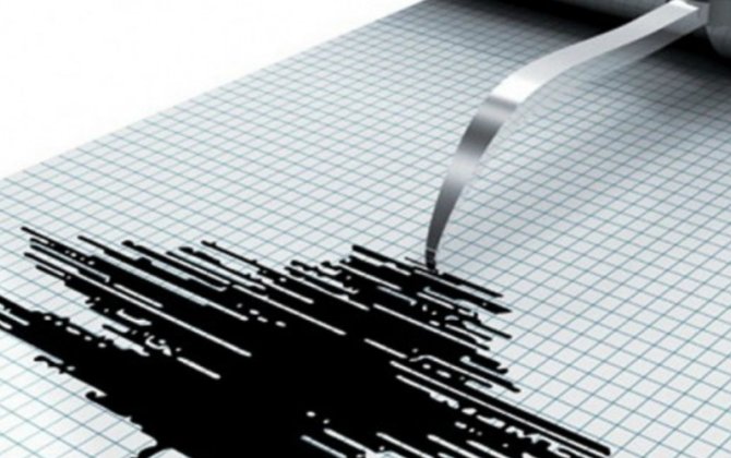 У побережья Мексики произошло землетрясение магнитудой 6,5