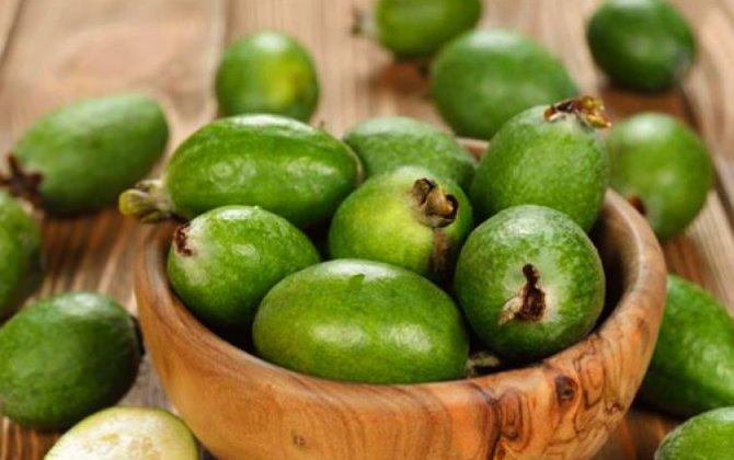 Yodla zəngin feyxoa möcüzəsi - Zobun, prostatın dərmandır