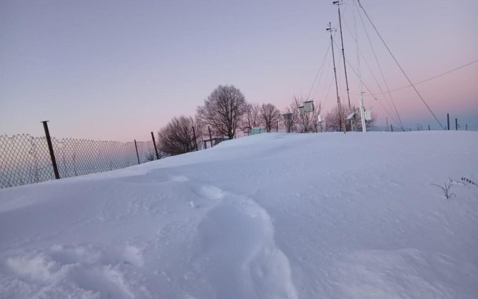 Şahbuzda qarın hündürlüyü 48 sm-ə çatdı