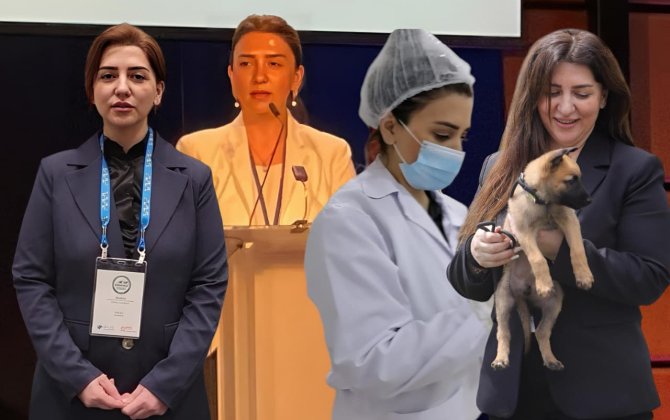 “Baytarlıq sadəcə bir peşə deyil, həm də böyük bir fədakarlıqdır”-biologiya elm sahəsində 3109.01 şriftində ilk qadın elmlər doktorundan ETİRAF