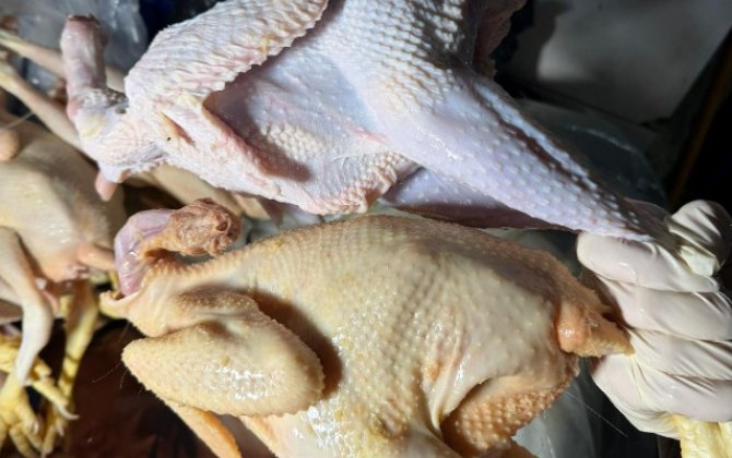 Sarı rəngə boyayıb kənd toyuğu adı ilə satırmışlar - FOTO