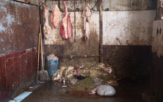 Maştağada “Xəyal” bazarında nöqsanlar aşkarlandı - VİDEO